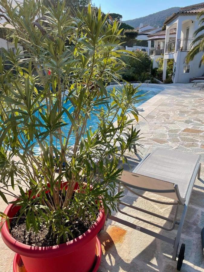 Maxima Sunset Apartment Sainte-Maxime