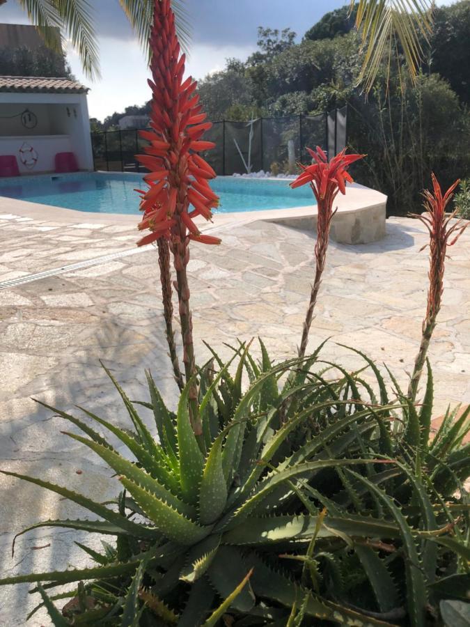 Maxima Sunset Appartamento